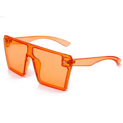 Women's Oversized Square 'Winter Eye' Plastic Sunglasses