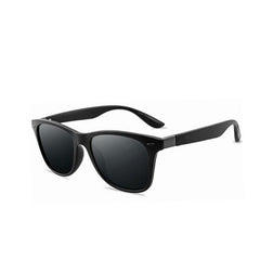 Men's Polarized Pilot 'Blue Dragon' Plastic Sunglasses