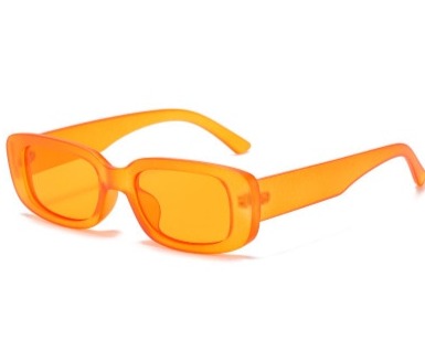 Women's Rectangle 'Veronica' Plastic Sunglasses