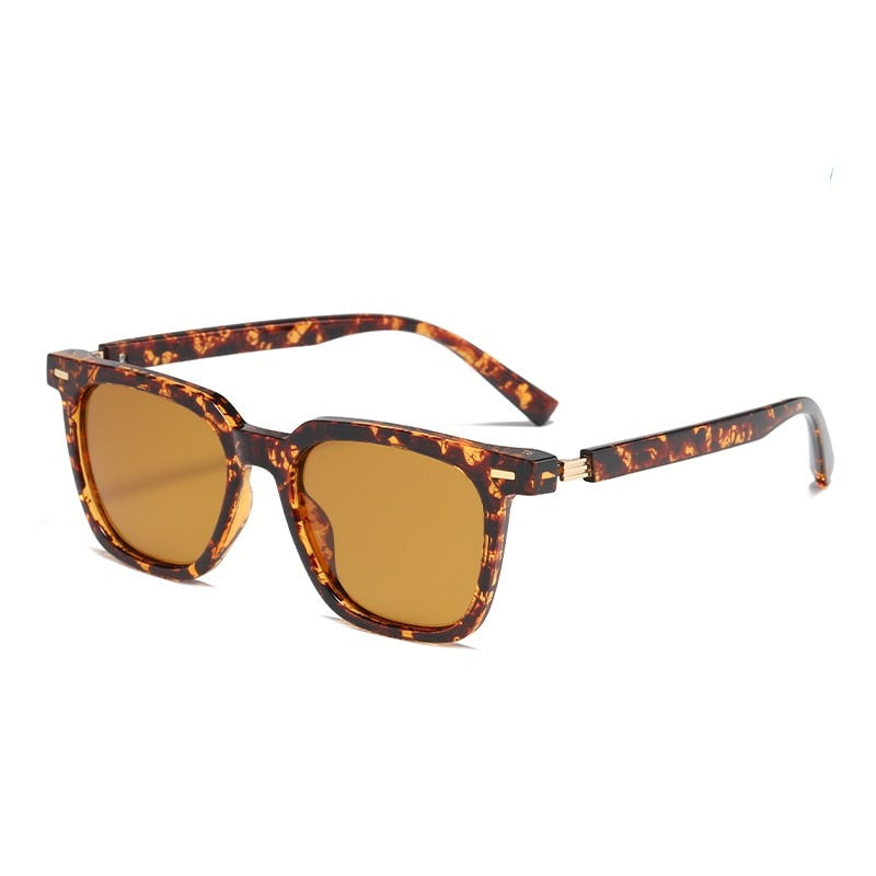 Women's Fashion  Square 'Beez Veez' Polarized Sunglasses