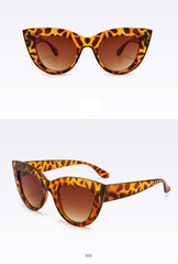 Women's Cat Eye 'Popular' Vintage Sunglasses