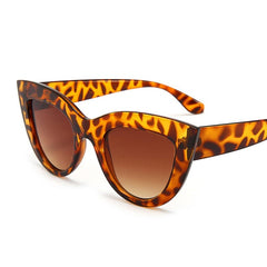 Women's Cat Eye 'Popular' Vintage Sunglasses