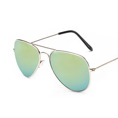 Women's Classic 'The Nerd' Aviator Sunglasses