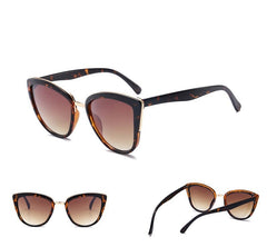 Women's Oversized 'Aesthetic' Cateye Sunglasses