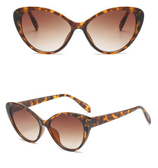 Women's Cat Eye 'Minty Orange' Plastic Sunglasses