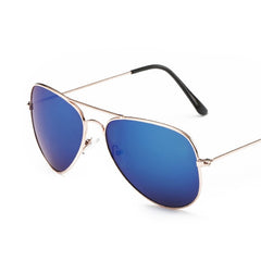 Women's Classic 'The Nerd' Aviator Sunglasses