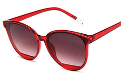 Women'sClassic Oval 'Gweneth' Plastic Sunglasses