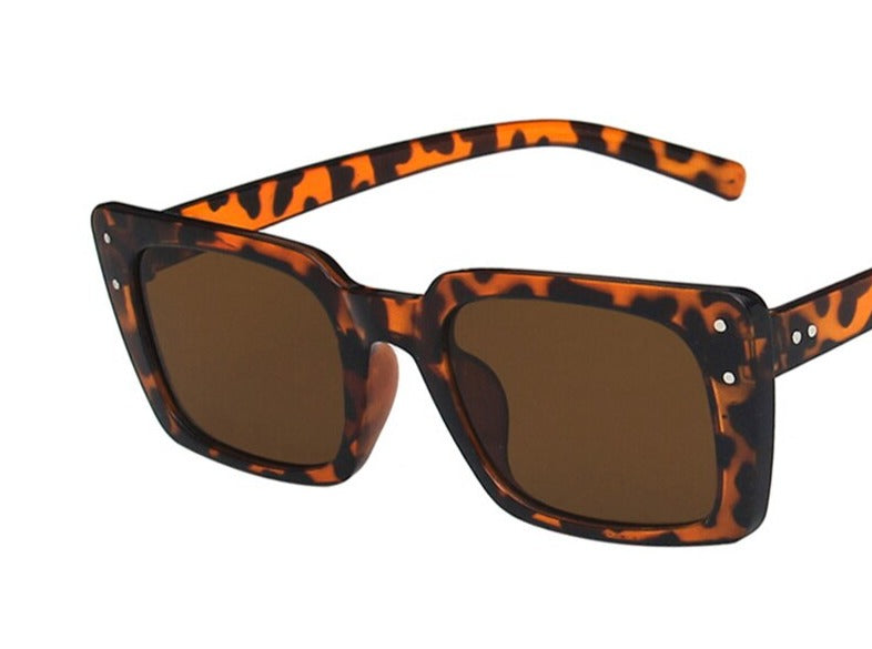 Women's Square 'Brown Melisan' Plastic Sunglasses
