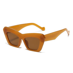 Women's Retro Jelly Frame 'Block Dash' Cat Eye Sunglasses