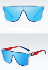 Women's Polarized Rectangle 'Blue in the Palace' Plastic Sunglasses