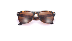 Men's Polarized Folding 'Arwen Fay' Plastic Sunglasses