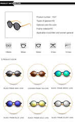 Women's Oval Two Tone 'Two Mountain' Plastic  Sunglasses