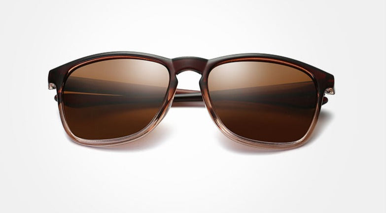 Men's Polarized Wayfarer 'Elloy Dalis' Plastic Sunglasses