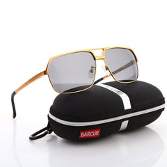 Men's Polarized Aviator 'Mr. Bug Men' Metal Sunglasses